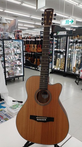 Morris acoustic guitar - morris, sa-40