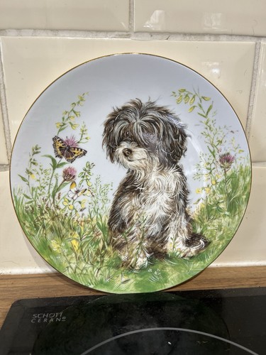 Royal worcester benjy and - and, the