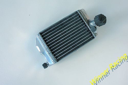 Radiator for gas - for,