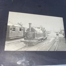 Before 1889 - Welsh Pony