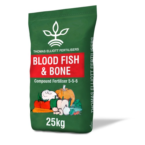 Blood fish bone - bone, organic