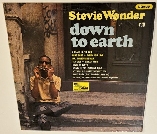 Stevie wonder down to earth - -,