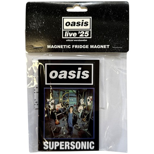Oasis metal fridge - oasis,
