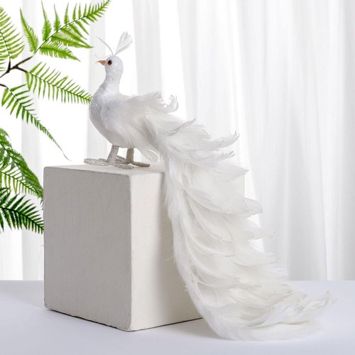 White peacock simulation bird - simulation,