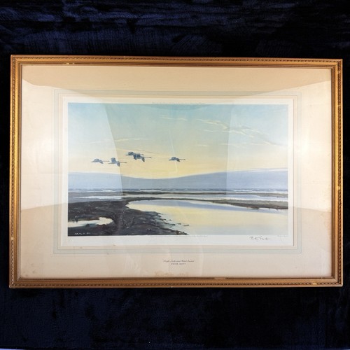 Limited edition high tide - "high, and