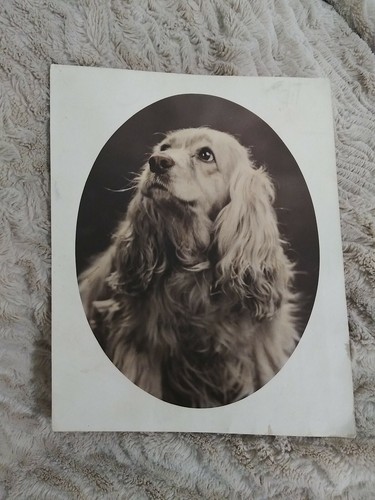 Vintage beautiful photograph - vintage,