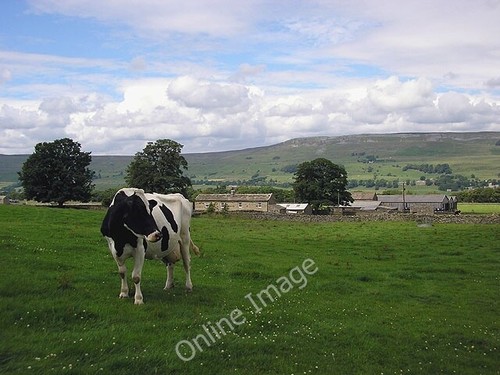 Photo 6x4 cow scar - 6x4, top