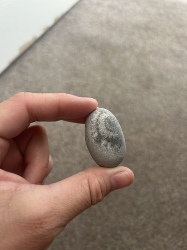 Fossil partial ammonite - fossil,