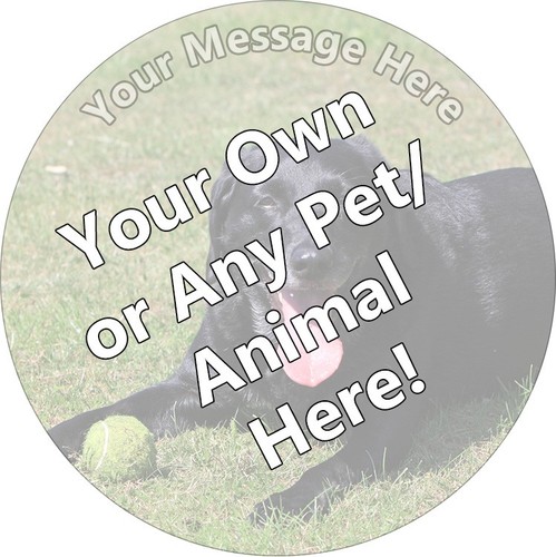 Your own pet animal - your,