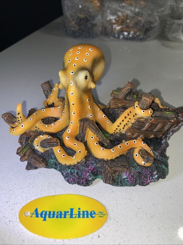 Aquarium fish tank - aquarium,