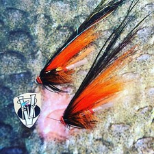 2 V Fly Stor Lax KMO Hot