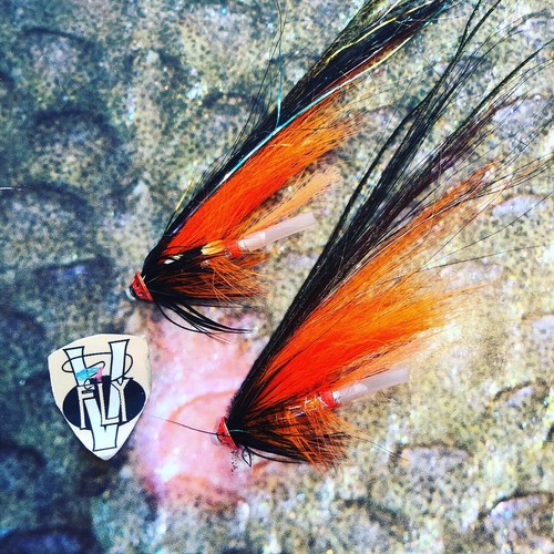 Fly stor lax kmo hot - v,