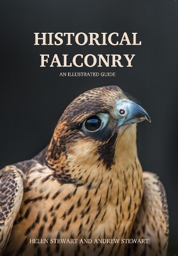 Historical falconry helen - historical,