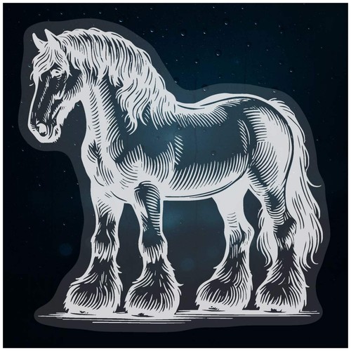 Clydesdale horse static - horse',