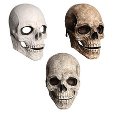 Skull   Movable ,Mouth with