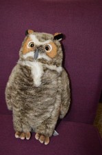 FAO Great Horned Owl Realistic