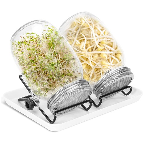 2pcs seed sprouting - seed,