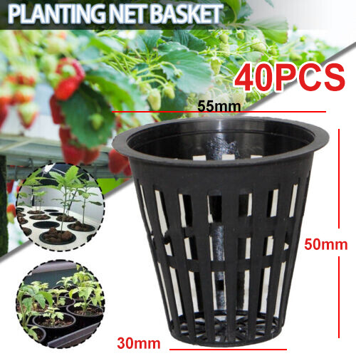 40pcs mesh hydroponics plant - mesh,