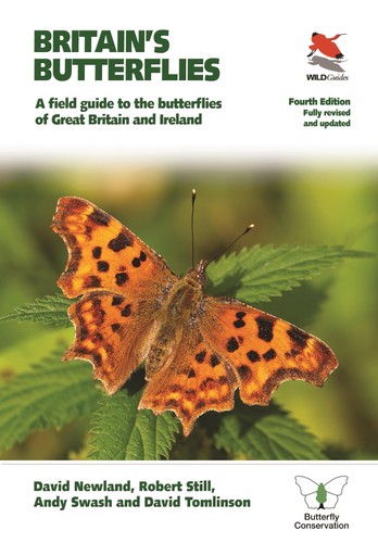 Britain butterflies - britain's,