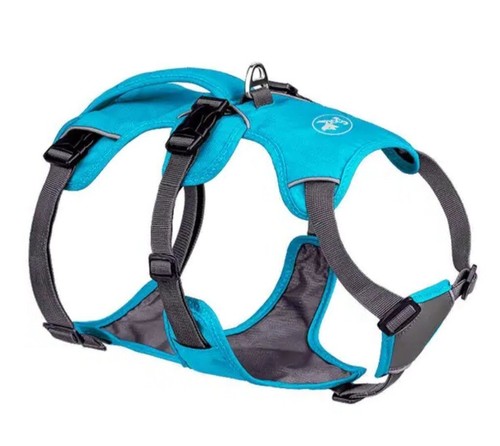Mobility assist dog - mobility,