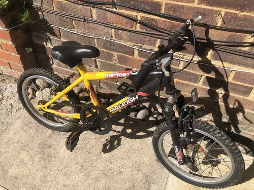 Boys mountain bike - mountain,