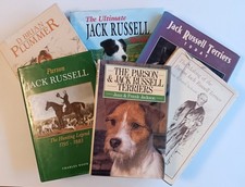 Parson Jack Russell Terrier ~