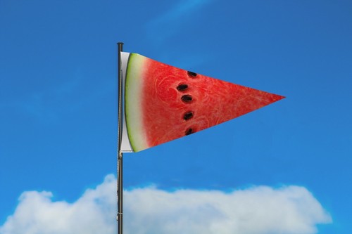Watermelon slice triangular - watermelon,