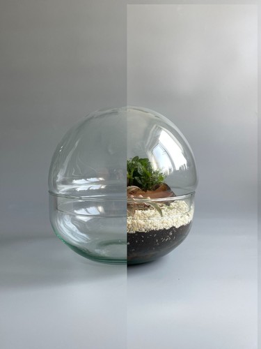 Glass bowl terrarium - glass,