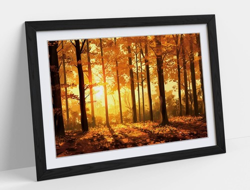 Beautiful golden autumn forest - beautiful,