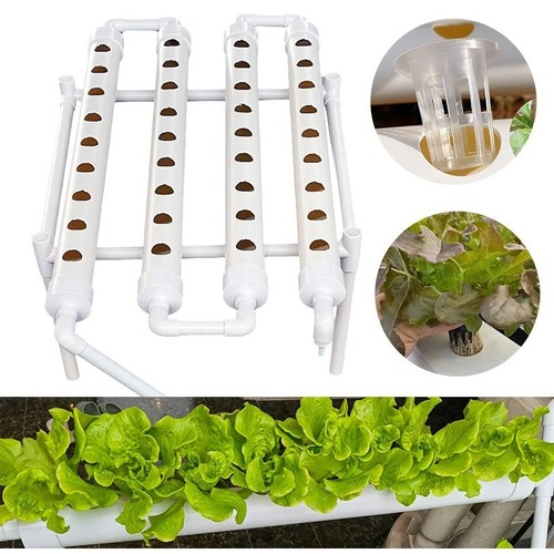 Site hydroponic growing - site,