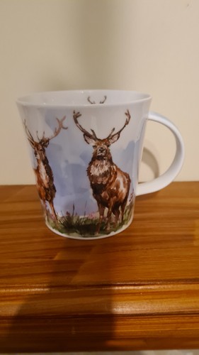 Dunoon bone china mug - china,