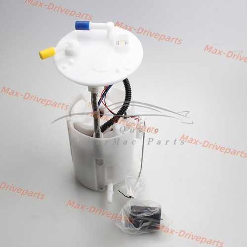 Fuel pump assembly for - fuel,