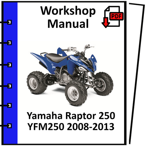 Yamaha raptor 250 yfm250 - 250, 2010