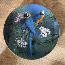 Blue & Gold Macaws Wedgewood