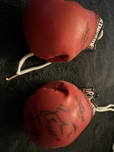 Zab judah autographed mini - zab,