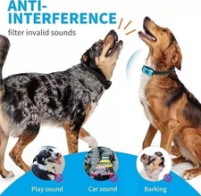 Anti Bark Collar for Dogs &