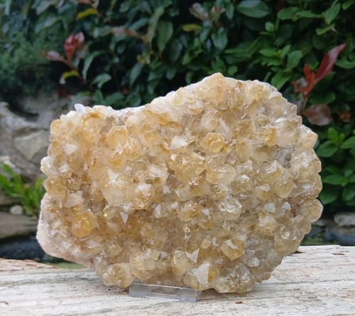 Citrine crystal cluster brazil - crystal,
