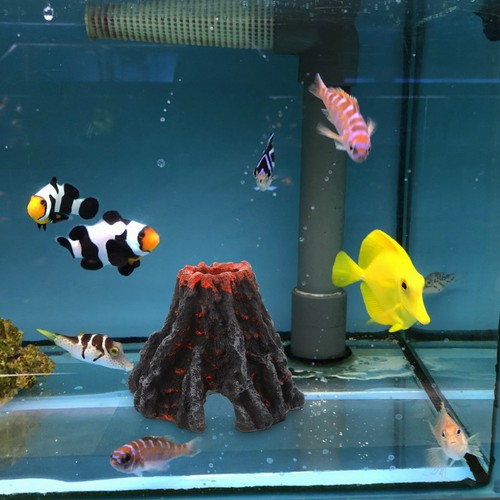 Aquarium fish tank decoration - tank,