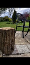 Tree Stump log 1.6 Foot high 8