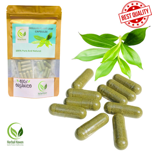Natural insulin plant leaves - plant,
