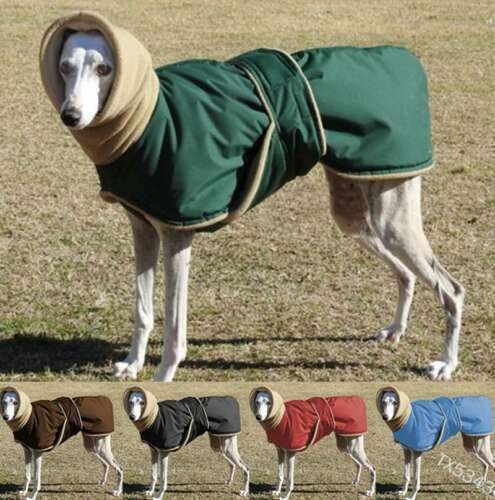 Jacket greyhound winter coat - jacket,