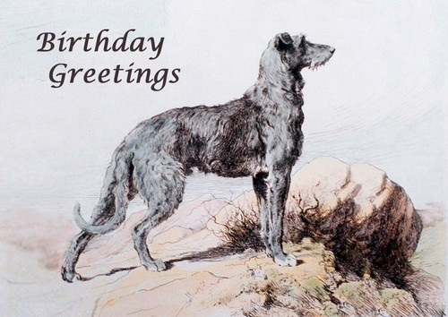 Deerhound dog birthday card - deerhound,