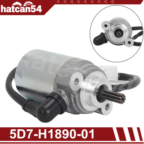 Electric starter motor for - starter,