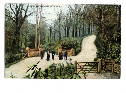Aberystwyth cwm woods - cwm,