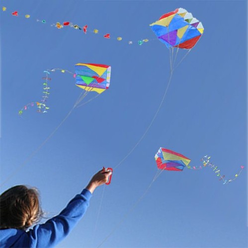 Single line parafoil pocket - single,