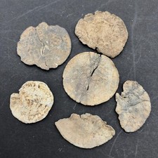 Collection of 15th Century Lead Tokens Jettons Medallions - Metal Detector Finds
