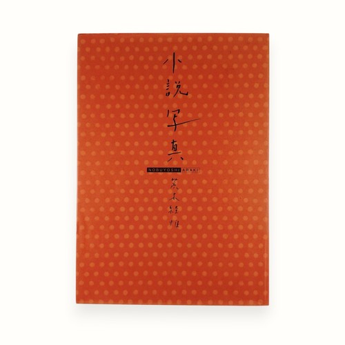 Nobuyoshi araki shosetsu - araki,