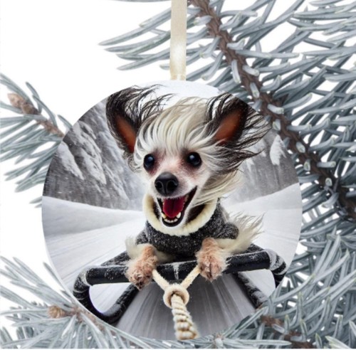 Chinese crested dog gift - chinese,