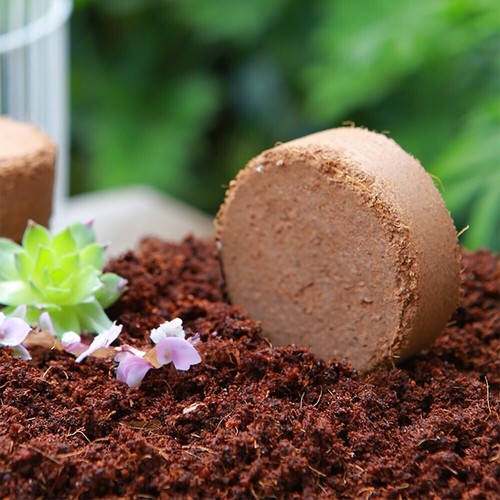 50pcs coconut soil - 50pcs,