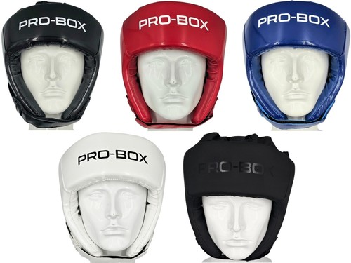 Pro box boxing club - pro, head